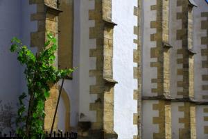 Trta in Cerkev DETAJL- RDO-2011